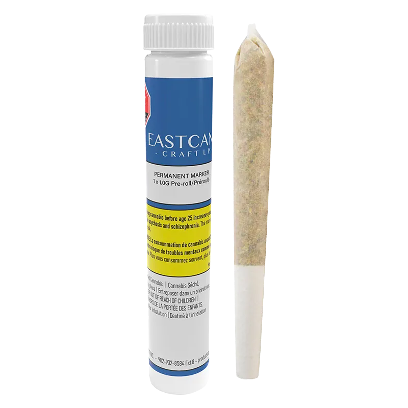Vertical studio shot of a clear tube and pre-roll, showing the Permanent Marker PR 1 x 1 g tube label and a standing joint.