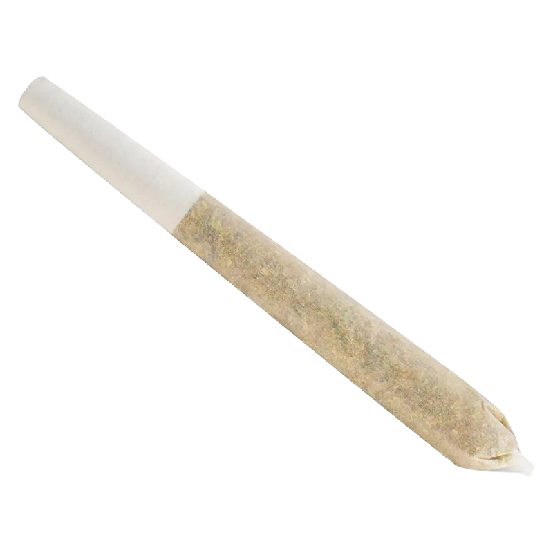 Diagonal close-up of a single rolled paper joint photographed on white background featuring the Permanent Marker PR 1 x 1 g product name.