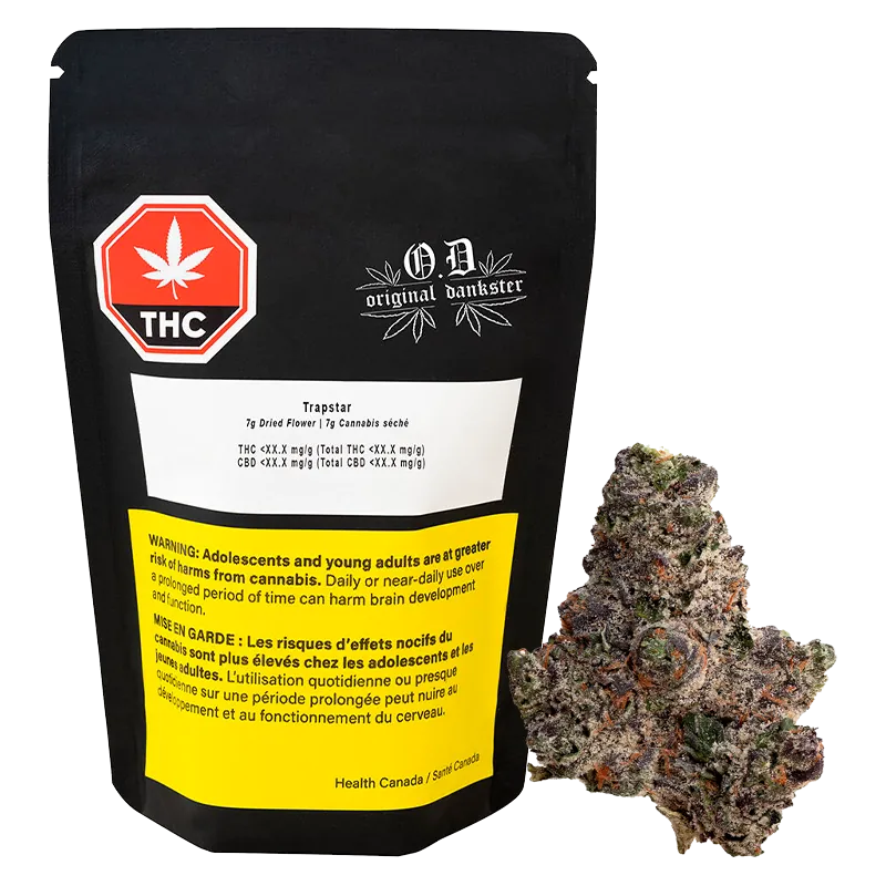 Front view of the black Trapstar pouch with THC label and a dried cannabis bud placed to its right.