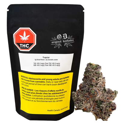 Front view of the black Trapstar pouch with THC label and a dried cannabis bud placed to its right.