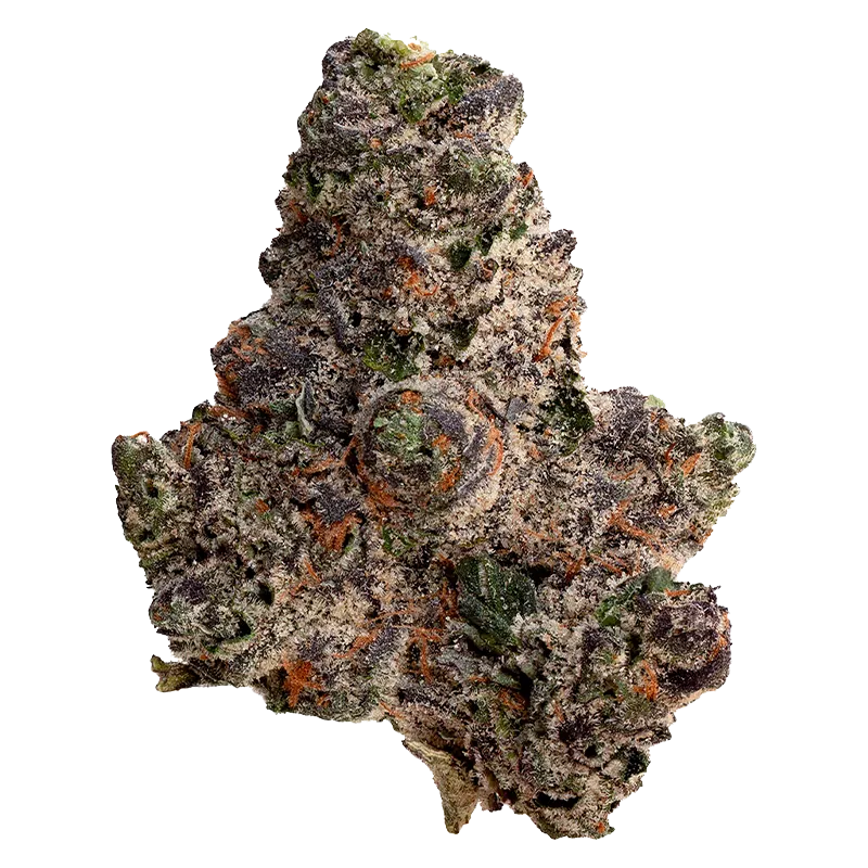 Close-up top-down view of a frosty, purple-tinged cannabis bud labeled Trapstar, showing dense trichomes and bright orange pistils against a white background.