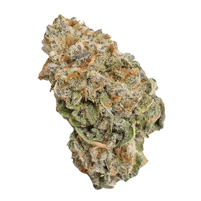 Close-up front view of a dense, frosty bud of Zooted Indica showing green leaves, orange pistils, and crystalline trichomes.