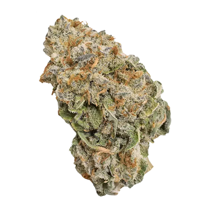 Close-up front view of a dense, frosty bud of Zooted Indica showing green leaves, orange pistils, and crystalline trichomes.