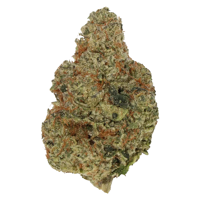 Close-up front view of a single Sherbadough cannabis bud showing green and amber hairs with a frosty trichome coating on a white background