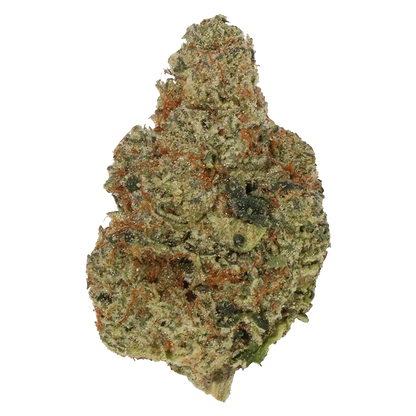 Close-up front view of a single Sherbadough cannabis bud showing green and amber hairs with a frosty trichome coating on a white background