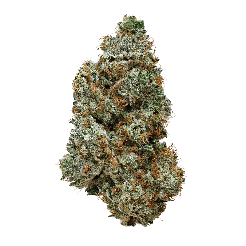 High Quadz 3.5 g OJ Zainbow Flower