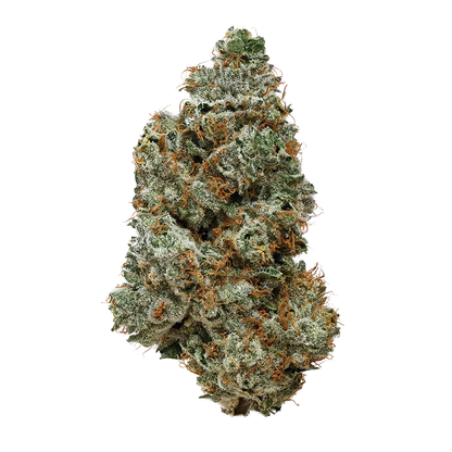 High Quadz 3.5 g OJ Zainbow Flower