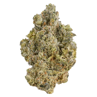 Broken Coast 28 g La Bomba Flower