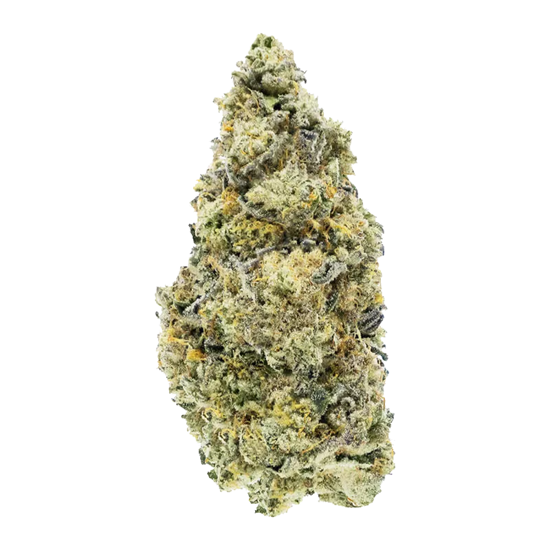 Top-down studio shot of a single frosty bud of Dark Rainbow Craft against a plain white background.