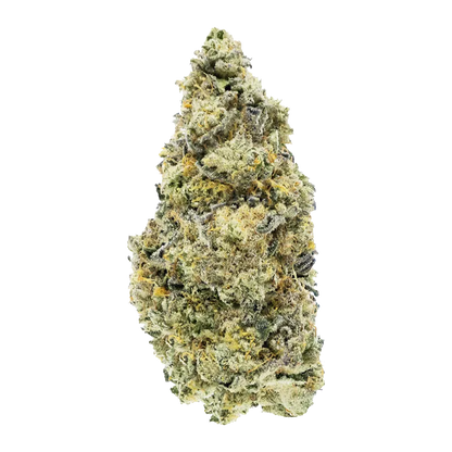 Top-down studio shot of a single frosty bud of Dark Rainbow Craft against a plain white background.