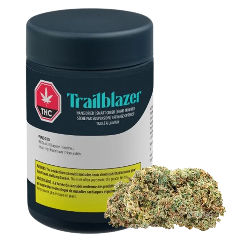 Front-facing shot of a dark jar and loose bud labeled Trailblazer Fire G13, the matte cylindrical container showing teal branding and a red THC icon.