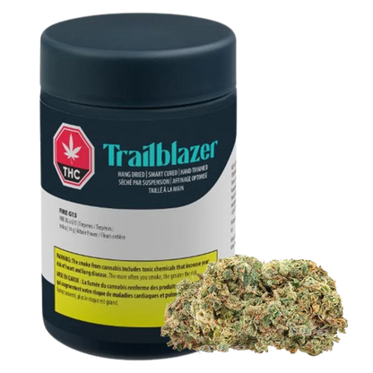 Front-facing shot of a dark jar and loose bud labeled Trailblazer Fire G13, the matte cylindrical container showing teal branding and a red THC icon.