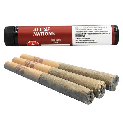 Angled close-up of three hand‑rolled joints in front of a red tube labeled Tropic Thunder PR 3 x 0.5 g by All Nations.