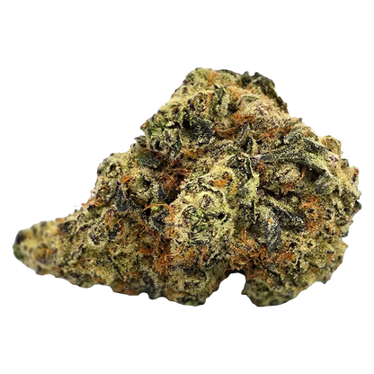 Close-up of a single Truffle Treats nug shot from a low angle, showing frosty trichomes, green and purple leaves, and orange hairs.