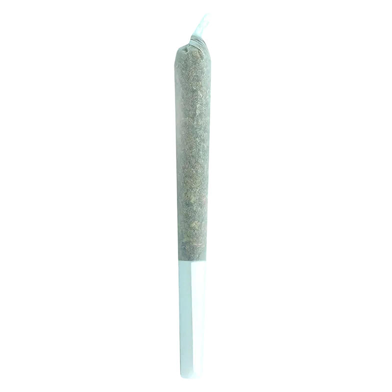 Vertical studio shot of a single joint labeled Truffle Treats PR 1 x 0.5 g against a bright white background.
