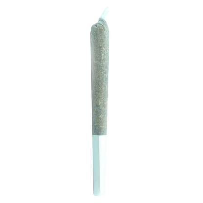 Vertical studio shot of a single joint labeled Truffle Treats PR 1 x 0.5 g against a bright white background.