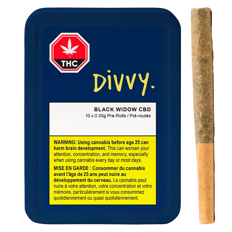 Top-down view of a navy tin and a single pre-roll, labeled "Black Widow CBD PR 10 x 0.35 g" with yellow warning panel and DIVVY logo.