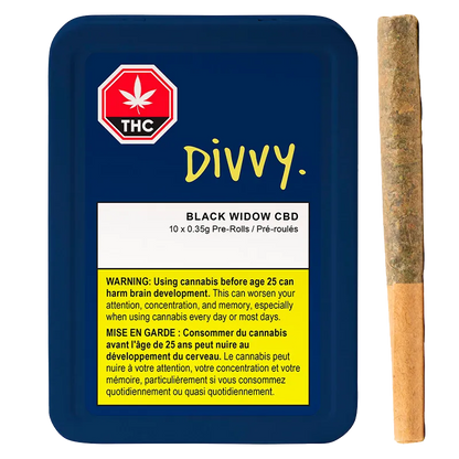 Top-down view of a navy tin and a single pre-roll, labeled "Black Widow CBD PR 10 x 0.35 g" with yellow warning panel and DIVVY logo.