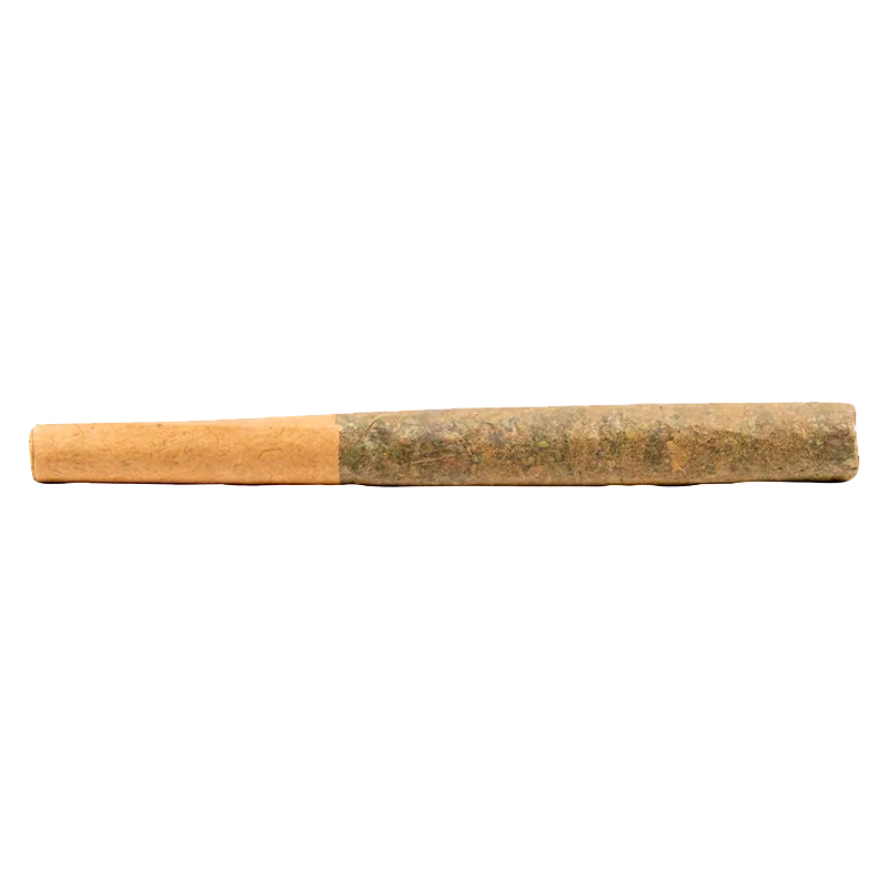 Side-on view of a pre-rolled joint labeled Black Widow CBD PR 10 x 0.35 g resting on a white background.