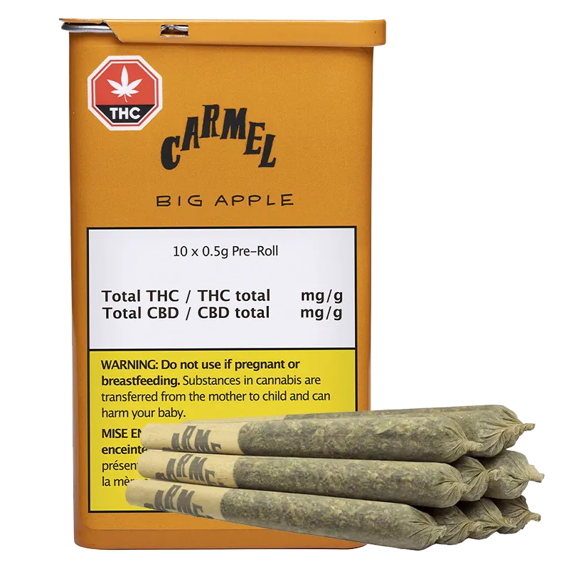 Front-facing shot of a golden tin labeled Big Apple PR 10 x 0.5 g with a stack of five pre-rolled joints resting at its base.