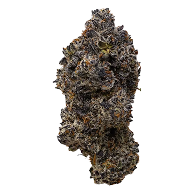 Snicklefritz 28 g Platinum Jellysickle Flower