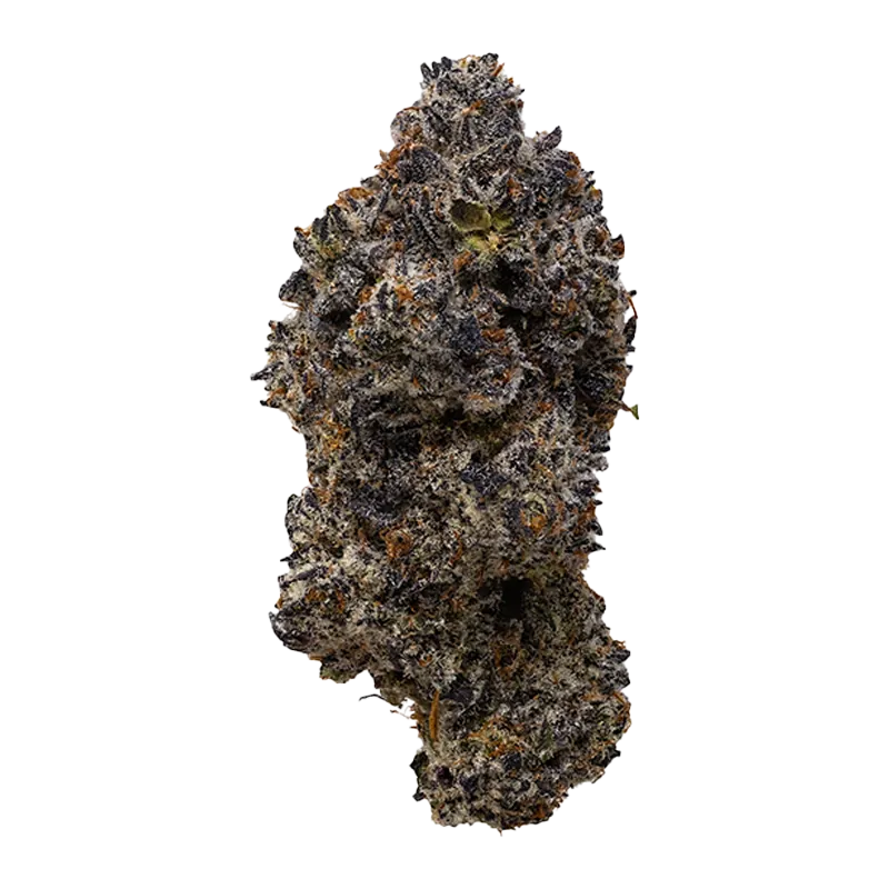 Snicklefritz 7 g Platinum Jellysickle Flower