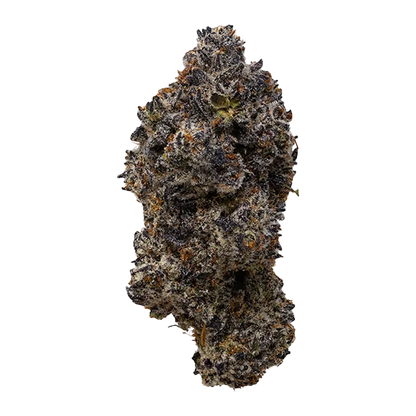 Snicklefritz 7 g Platinum Jellysickle Flower