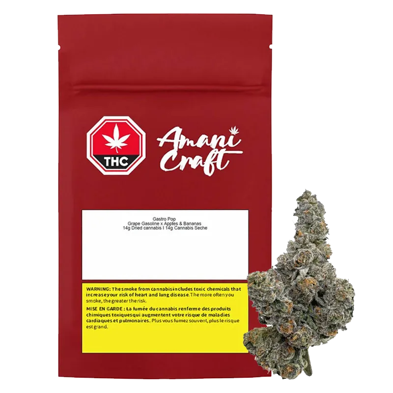 Front-facing shot of a red Amani Craft pouch labeled Gastro Pop beside a frosty cannabis bud on a white background