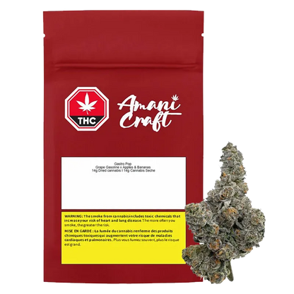 Front-facing shot of a red Amani Craft pouch labeled Gastro Pop beside a frosty cannabis bud on a white background