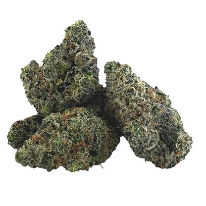 Close-up of frosty green and amber nugs arranged in a small pile, showing dense trichomes on the Gravity.