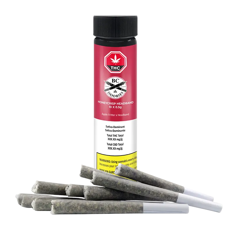 Straight-on view of a BC Doobies Honeycrisp Headband PR 10 x 0.5 g tube with several pre-rolled joints fanned at its base.