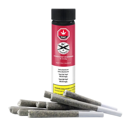 Straight-on view of a BC Doobies Honeycrisp Headband PR 10 x 0.5 g tube with several pre-rolled joints fanned at its base.