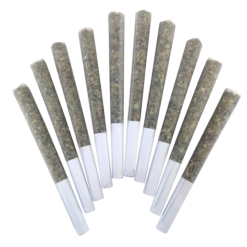 Fan-shaped overhead view of ten Honeycrisp Headband PR 10 x 0.5 g pre-rolls with visible greenish herb and white tips.
