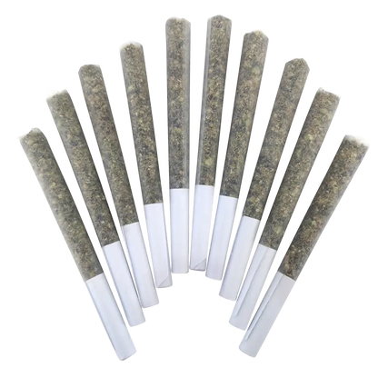 Fan-shaped overhead view of ten Honeycrisp Headband PR 10 x 0.5 g pre-rolls with visible greenish herb and white tips.