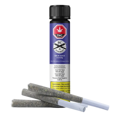 Straight-on view of a Roll-X plastic tube standing upright with three pre-rolled joints lying in front on a white background.