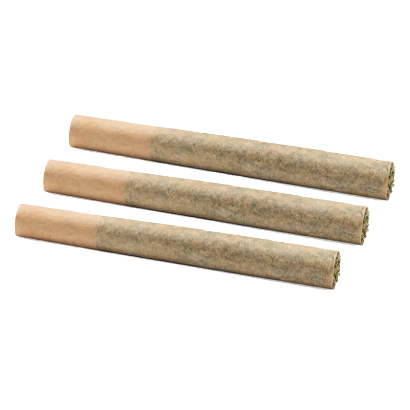Three rolled cones photographed at a slight angle on white background, showing the paper tips and packed ends of the Roll-X PR 3 x 0.5 g.