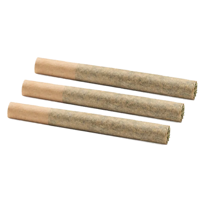Three rolled cones photographed at a slight angle on white background, showing the paper tips and packed ends of the Roll-X PR 3 x 0.5 g.