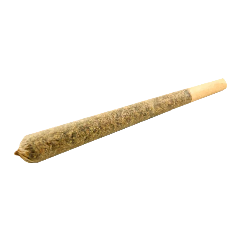 Angled close-up of an Irie Rolls PR 20 x 0.5 g pre-rolled cone on a white background, showing its packed tip and filter end.