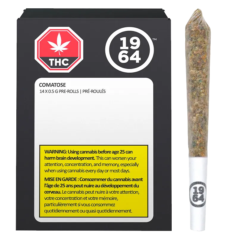 Front-facing black box and single pre-roll on white background featuring the Comatose PR 14 x 0.5 g branding and visible warning label.
