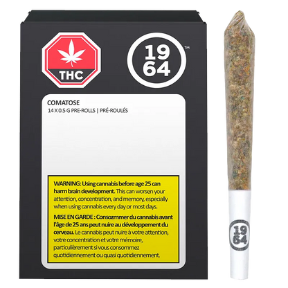 Front-facing black box and single pre-roll on white background featuring the Comatose PR 14 x 0.5 g branding and visible warning label.