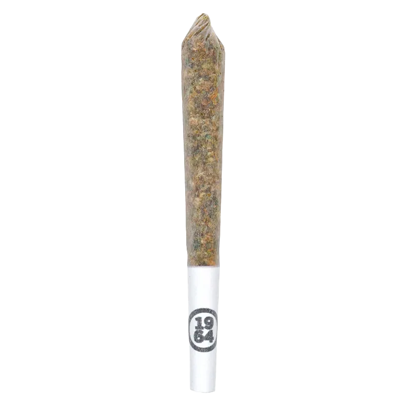 Center-aligned close-up of a rolled joint on white background labeled "Comatose PR 14 x 0.5 g" with visible paper tip and packed herb.