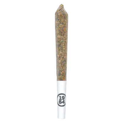 Center-aligned close-up of a rolled joint on white background labeled "Comatose PR 14 x 0.5 g" with visible paper tip and packed herb.
