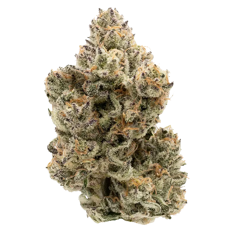 Northern Canna 28 g The Collective Oz Flower