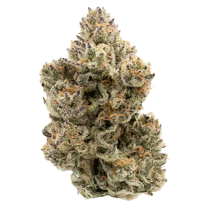 Northern Canna 28 g The Collective Oz Flower