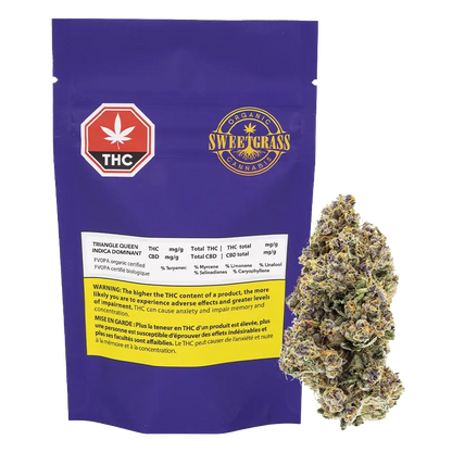 Front-facing purple pouch labeled Sweetgrass Triangle Queen Petites with a dense cannabis bud positioned to its right.