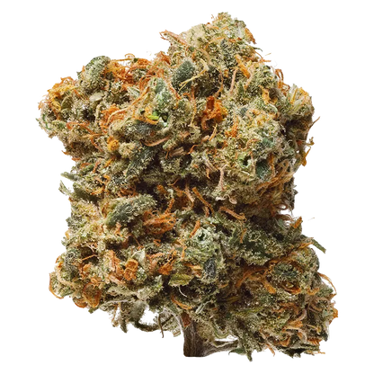 Close-up front view of a single "Blue Dream" cannabis bud with frosty trichomes and vibrant orange pistils against a white background.
