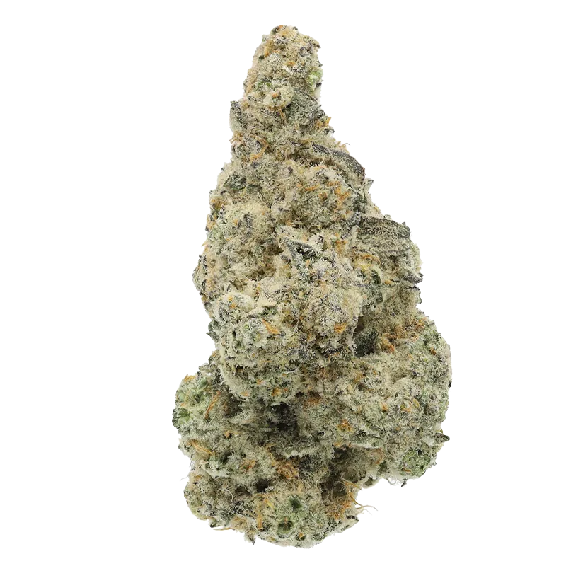 Close-up front view of a frosty, light-green nugget of Chimera Junky against a white background.