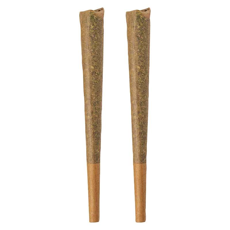 Top-down front view of two tapered Glazed PR 2 x 1 g pre-rolls standing side by side on a white background.