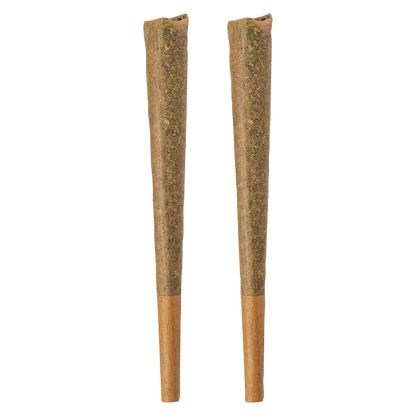 Top-down front view of two tapered Glazed PR 2 x 1 g pre-rolls standing side by side on a white background.