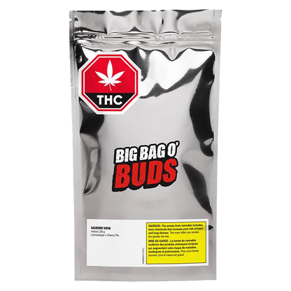 Front view of a reflective silver pouch labeled Big Bag O' Buds containing "Gasberry Kush," with a red THC stop-sign logo near the top.